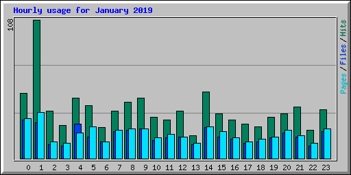 Hourly usage for January 2019