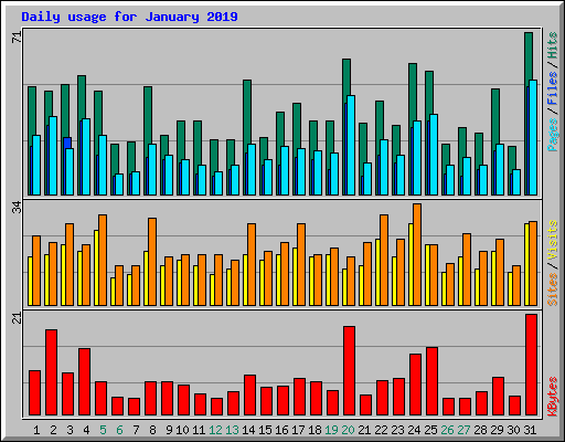 Daily usage for January 2019