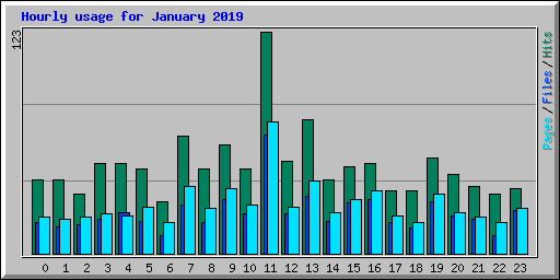 Hourly usage for January 2019